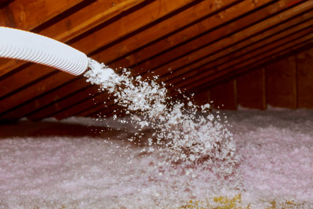 Best Spray Foam Insulation in Teutopolis, IL