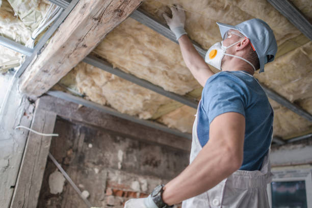Best Geographic-Specific Insulation Services in Teutopolis, IL